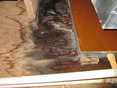 About water damage cleanup - ceiling water damage repair experts in Greeley